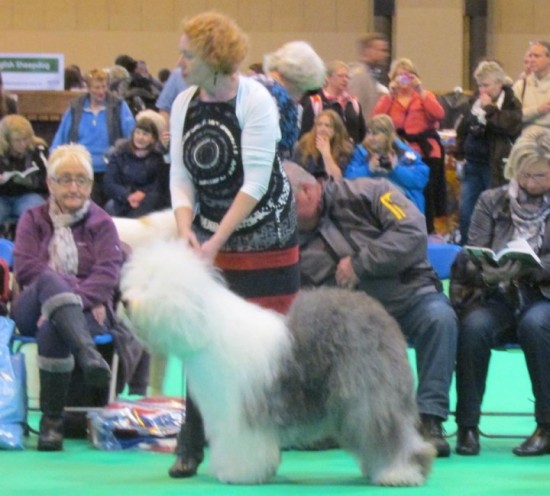 Crufts Chanelle