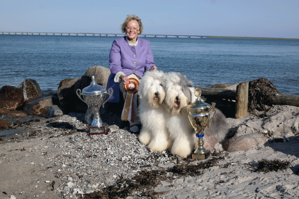 Euro-OES-Show-on-the-beach-with-trophys