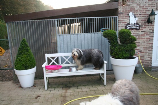 Lasse-on-the-gardenchair