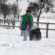 Z'Bushybear aus dem Elbe-Urstromtal enjoy her first snow december 2002