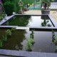 Impression: The back garden with the pond